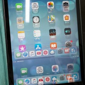 iPad mini 2 シルバー セルラーモデル ジャンク品