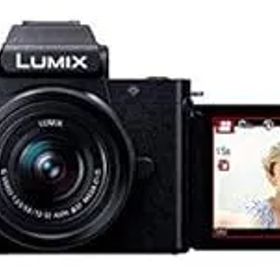 【中古】(非常に良い)パナソニック ミラーレス一眼カメラ ルミックス G100K 標準ズームレンズキット ブラック DC-G100K-K