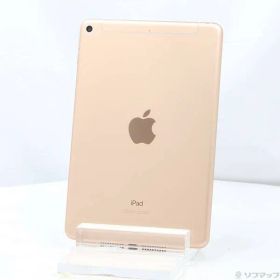 〔中古品〕 iPad mini 第5世代 256GB ゴールド MUXE2J／A docomoロック解除SIMフリー【262】