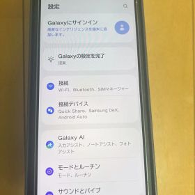 Samsung Galaxy S25 Ultra 本体 国内版