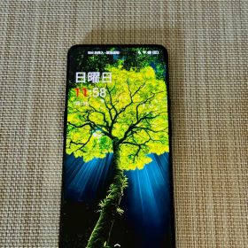 OnePlus 9 pro RAM8 256GBブラック 本体+③ケース