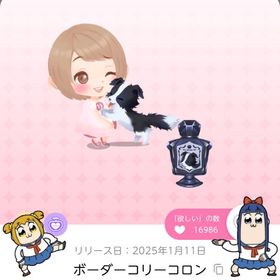 ボーダーコリーコロン | ポケコロツイン(ポケツイ)のアカウントデータ、RMTの販売・買取一覧