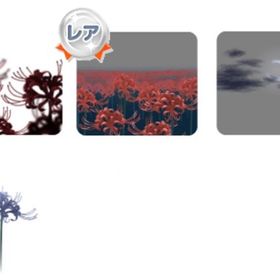 深紅に染まる彼岸花4点セット | ポケコロのアイテム、RMTの販売・買取一覧