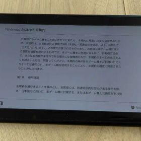 スイッチ Nintendo Switch グリーン/ピンク 本体