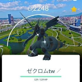 激レア！✨✨色伝ゼクロム背景付き！🎉🎉 | ポケモンGOのアカウントデータ、RMTの販売・買取一覧