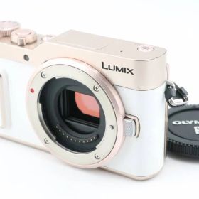 LUMIX DC-GF10 中古 31,600円 | ネット最安値の価格比較 プライスランク