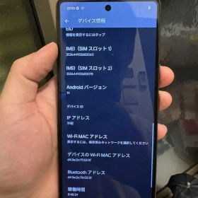 Google Pixel 7 simフリーVerizon版