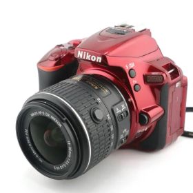 ★良品★★ショット数:516枚★ニコン NIKON D5500 + AF-S NIKKOR 18-55mm F3.5-5.6G II VR★ I1027＃3536