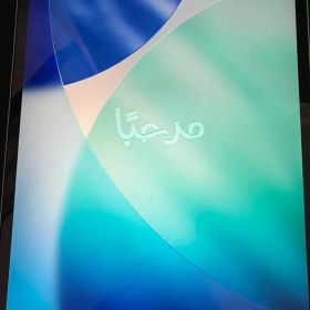 iPad Pro (12.9インチ) 第4世代 256GB シルバー