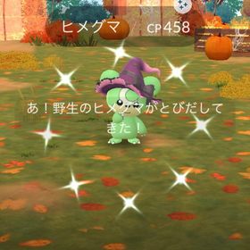 ハロウィン魔女帽子ヒメグマ色違い | ポケモンGOのアカウントデータ、RMTの販売・買取一覧