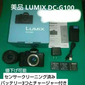 美品 LUMIX DC-G100 ミラーレスカメラ