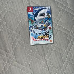 釣りスピリッツ スイッチ