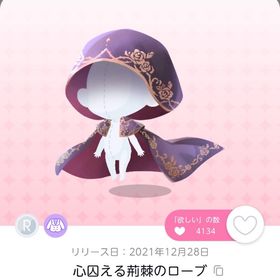 心囚える荊棘のローブ | ポケコロツイン(ポケツイ)のアカウントデータ、RMTの販売・買取一覧