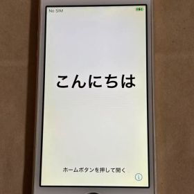 Apple iPhone SE ゴールド箱付きイヤホン、コンセント付き 良品