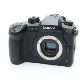 【中古】 《美品》 Panasonic LUMIX DC-GH5 ボディ 【三角環取付部補修調整/各部点検済】 [ デジタルカメラ ]