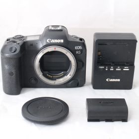 ☆良品・ショット数9000☆ Canon ミラーレス一眼カメラ EOS R5 ボディ EOSR5 キヤノン #4067