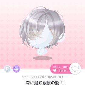 森に潜む銀鼠の髪 | ポケコロツイン(ポケツイ)のアカウントデータ、RMTの販売・買取一覧