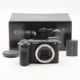 ★極上品★SONY α6700 ILCE-6700 ショット数 204回