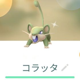 色違いコラッタ トレード XXL | ポケモンGOのアカウントデータ、RMTの販売・買取一覧