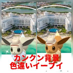 70⭐️PTC⭐️カンクン背景✨色違いイーブイ | ポケモンGOのアカウントデータ、RMTの販売・買取一覧