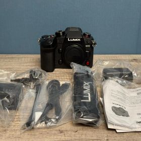 LUMIX DC-GH6 本体 シャッター回数306回 美品 付属品あり