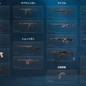 champions2022 2023 芋アカウント | VALORANT(ヴァロラント)のアカウントデータ、RMTの販売・買取一覧