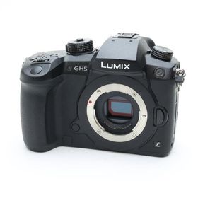 《美品》Panasonic LUMIX DC-GH5 ボディ