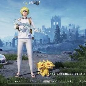 イーグルス様専用BAPE、伯爵なし | PUBG MOBILEのアカウントデータ、RMTの販売・買取一覧