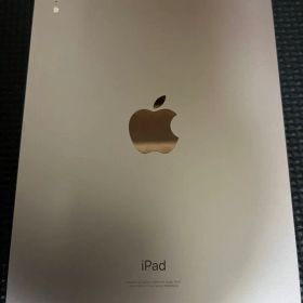 ipad mini 第6世代 ジャンク