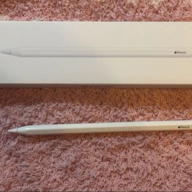 【ジャンク品】Apple Pencil 第二世代