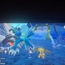 オシャボ入り 色違い三鳥 最小サイズ | ポケモンSV(スカーレットバイオレット)のアイテム、RMTの販売・買取一覧