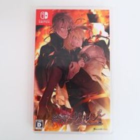 YK1117/Switch/終遠のヴィルシュ ErroR:salvation