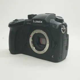 LUMIX DC-GH5 ボディ (RD-SPM049)　美品 Panasonic - 【美品】LUMIX DC-GH5 ボディ (RD-SPM049)の通販 by あつ