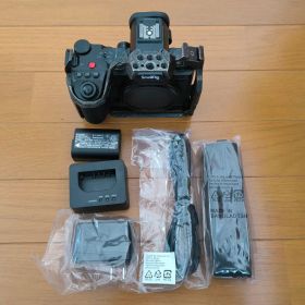 パナソニック LUMIX DC-S5M2X ボディビデオセット