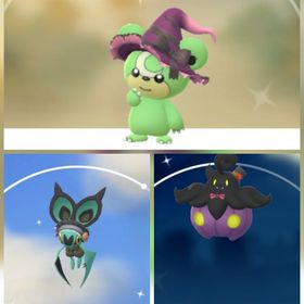 1516⭐️PTC⭐️国産⭐️色違いヒメグマ、オンバット | ポケモンGOのアカウントデータ、RMTの販売・買取一覧