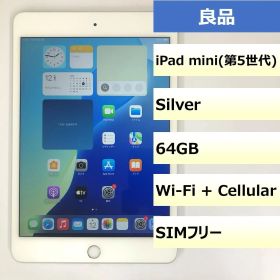 【良品】iPad mini (第5世代) Wi-Fi + Cellular/64GB/353180100408775