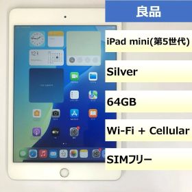 【良品】iPad mini (第5世代) Wi-Fi + Cellular/64GB/353178109533635