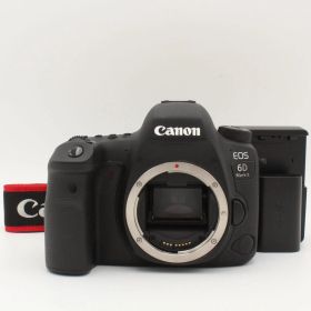 わずかシャッター数4558枚【新品級】CANON EOS 6D Mark II ボディ デジタル#7304