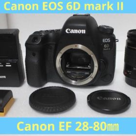 保証/動画/Canon EOS 6D Mark II 標準レンズセット