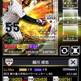 １凱 侍 細川 石井 橋本 サムライ | プロ野球プライドのアカウントデータ、RMTの販売・買取一覧