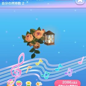 【2点で600円対象】２点セット"夜に待つ秋薔薇の旋律・秋夜を彩る薄紅薔薇 | ポケコロのアイテム、RMTの販売・買取一覧