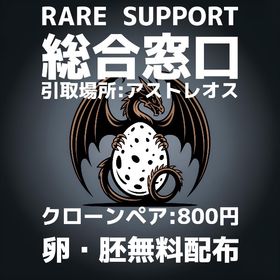 RARE SUPPORT 総合窓口 | ARK Survival Evolvedのアカウントデータ、RMTの販売・買取一覧