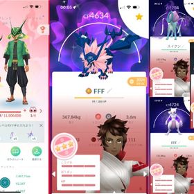 TL74✨色違いジラーチ、シェイミ100％✨伝説231体✨色違い466体✨個体値100％：36体 | ポケモンGOのアカウントデータ、RMTの販売・買取一覧