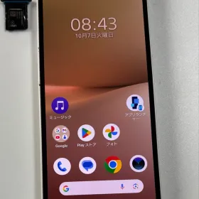 128G 5G XQ-DC44 SONY Xperia 10 V SIMフリー