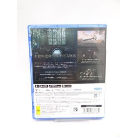 ホグワーツ・レガシー デラックス・エディション PS5(家庭用ゲームソフト)