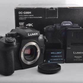 新品級の極上美品 Panasonic LUMIX G99 ボディ DC-G99H