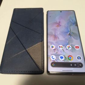 X*0様 中古品 Google Pixel 6 Pro ブラック Google Pixel 6 Pro 新品¥41,980 中古¥25,000 | 新品・中古のネット最