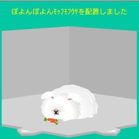 ぽよんぽよんもっふもふうさ | スペースデブリーズのアイテム、RMTの販売・買取一覧