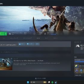 STEAM ゲーム結構あります | Steamのアカウントデータ、RMTの販売・買取一覧