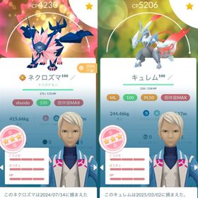 引退垢 ザシアンパリ背景100あり TL70 ニックネーム変更可能 伝説色違い56体 伝説856体 | ポケモンGOのアカウントデータ、RMTの販売・買取一覧